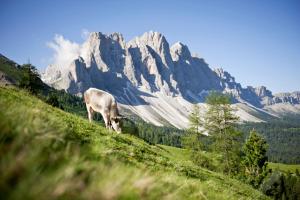 Paesaggio naturale nelle vicinanze del bed & breakfast