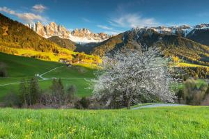 Paesaggio naturale nelle vicinanze del bed & breakfast