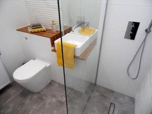 uma casa de banho com um lavatório, um WC e um chuveiro em Black Cart House em Johnstone