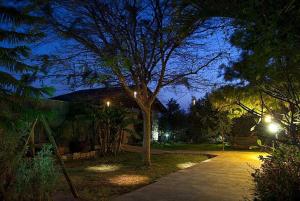 una casa con un árbol y una pasarela por la noche en Alon Bagalil en Kahal