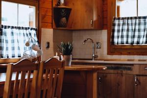 uma cozinha com um lavatório e uma bancada em Domki u Basi em Kudowa-Zdrój