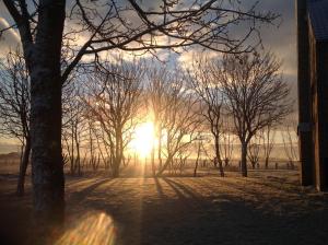 a sun setting behind trees in the snow at B&B 't Koolhof in Nieuwpoort