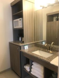 a bathroom with a sink and a microwave at Castle Inn in San Francisco