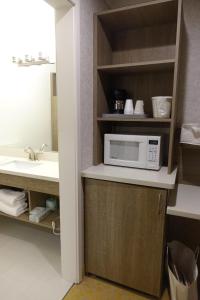 a bathroom with a microwave on a counter next to a sink at Castle Inn in San Francisco