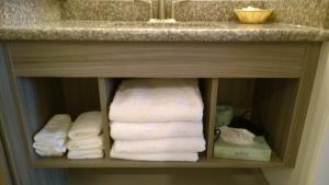 a bunch of towels on a shelf under a sink at Castle Inn in San Francisco +37 photos