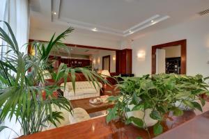 トリノにあるアスター ホテルの鉢植えの植物が多いリビングルーム