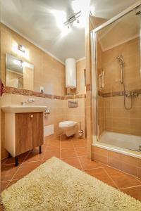 La salle de bains est pourvue d'un lavabo, d'une douche et de toilettes. dans l'établissement Bieszczadzka Świteź, à Baligród
