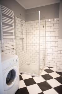pralka w łazience z prysznicem w obiekcie Apartament Scandic w mieście Malbork