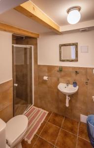 a bathroom with a shower and a toilet and a sink at SRDEČNÁ - rodinný penzion a restaurace in Nový Přerov