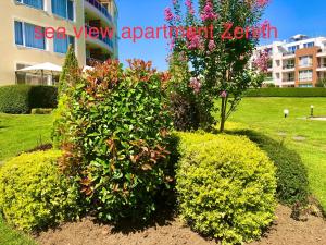 A garden outside Sea View NewApartment-Bulgaria-Chernomorets