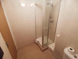 a bathroom with a shower and a toilet at Hotel Lily in London