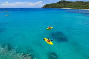 two people in yellow kayaks in the blue water at Octopus Resort in Nalauwaki