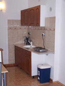 a kitchen with a sink and a counter top at Akacia Apartment - FREE PARKING INSIDE OUTSIDE 2 bedrooms garden next to centre in Budapest