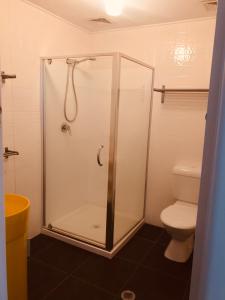 a bathroom with a shower and a toilet at Ella May Holiday Flats in Tuross Heads