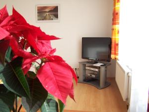 a living room with a television and a red plant at Akacia Apartment - FREE PARKING INSIDE OUTSIDE 2 bedrooms garden next to centre in Budapest