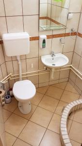 a bathroom with a toilet and a sink at Apartmani Smiljanic Sokobanja in Soko Banja +35 photos