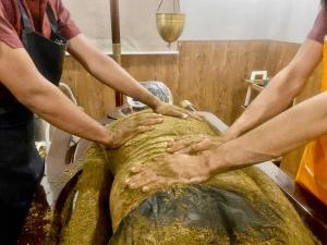 Veda5 Ayurveda & Yoga RetreatSpa和/或其他健康设施