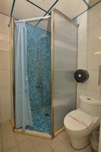 a bathroom with a shower and a toilet at 吉貝 新港景 亞泰民宿 in Baisha