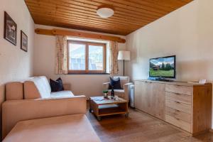 TV a/nebo společenská místnost v ubytování Landhaus Schneider