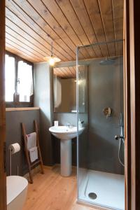 a bathroom with a glass shower and a sink at Baita Mirellina - Case di Viso in Ponte di Legno