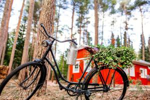 uma bicicleta estacionada ao lado de uma árvore com uma planta em Waldhaus Emma em Suderburg