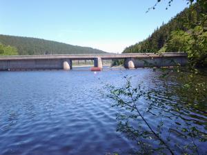 a bridge over a body of water at Tanne Altenau in Altenau +4 photos
