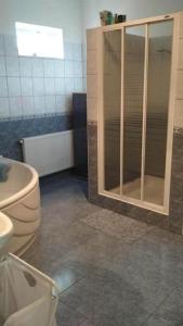La salle de bains est pourvue d'une douche et de toilettes. dans l'établissement Nita Vendégház, à Solt