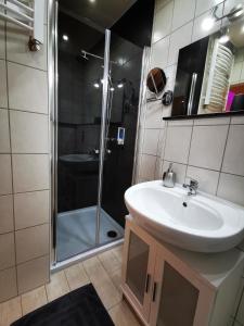 Koupelna v ubytování Apartmenthaus Wertheim