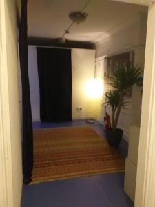ロンドンにあるザ クイーンズ ホステルの黒いカーテンとカーペットが敷かれた部屋