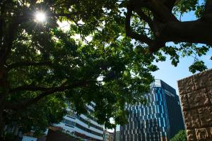 Fotografie z fotogalerie ubytování Hotel Midtown Richardson v destinaci Taipei