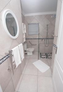 a bathroom with a shower and a toilet and a mirror at Van Den Berg's Guesthouse in Bettyʼs Bay