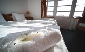 Postel nebo postele na pokoji v ubytování Hotel Večernice
