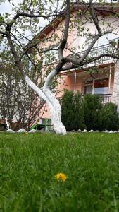 Gallery image of Вила Багрянови in Dospat