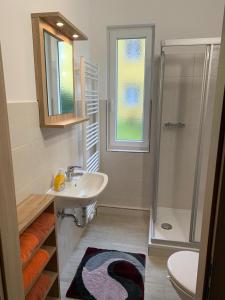 a bathroom with a sink and a shower at Ferienwohnung Liliensteinblick in Königstein an der Elbe