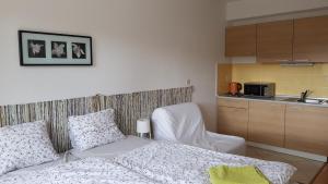 Kuchyňa alebo kuchynka v ubytovaní Apartmány 33 a 8 AD Kamzík Donovaly