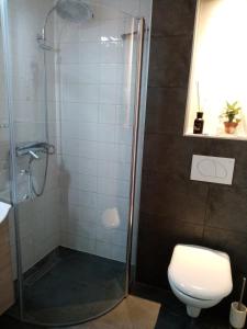 A bathroom at Kőszeghegyalja Vendégház