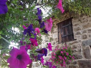 un bâtiment avec des fleurs violettes et une fenêtre dans l'établissement La Belle Âme, à Saint-Priest-des-Champs