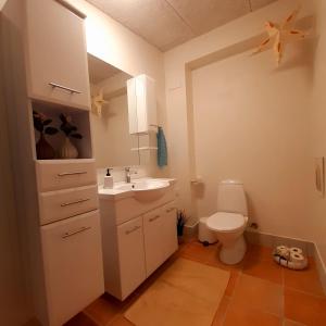 a bathroom with a white sink and a toilet at Agnes Bed and Breakfast in Bække +53 photos