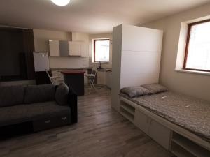 a living room with a couch and a kitchen at Saulėlydžio apartamentai in Palanga