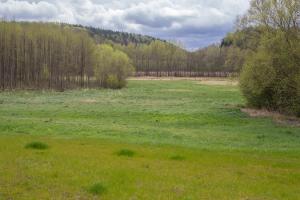 Imagen de la galería de Domki Przystanek Drzewina, en Drzewina