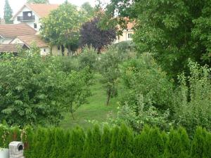 Ogród w obiekcie Smx Apartement