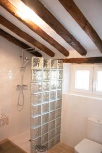 a bathroom with a shower and a toilet at Casas rurales Puente Romano in Sonseca