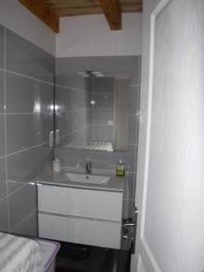 een badkamer met een wastafel en een spiegel bij Gîte Lou Saltret in Montbel