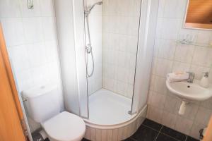 a bathroom with a shower and a toilet and a sink at Garni Limbový Dvor in Vrbov