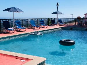 a pool with a dolphin and a tire in the water at Estalagem Abrigo da Montanha in Monchique