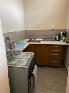 A kitchen or kitchenette at Virág Vendégház