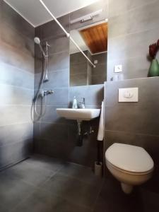 a bathroom with a toilet and a sink at Ágnes Nyaralóház in Zalakaros