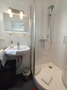 y baño con lavabo y ducha. en GL Single Town Apartment, en Wiesbaden