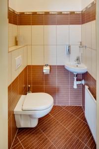 a bathroom with a toilet and a sink at Kaprova 5 - Old Town Apartments in Prague