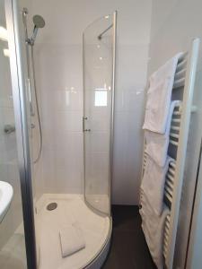 ein Bad mit einer Dusche, einem WC und einem Waschbecken in der Unterkunft GL Single Town Apartment in Wiesbaden